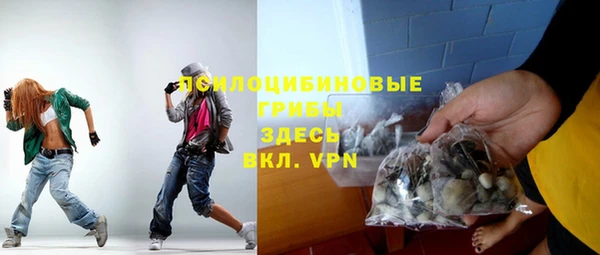 шишки Аркадак