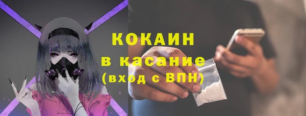 шишки Аркадак