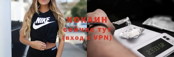 шишки Аркадак
