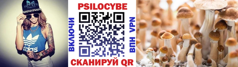 Купить  Ступино  Галлюциногенные грибы ЛСД 